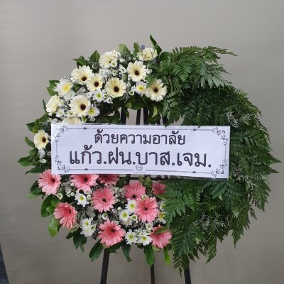 ประวัติการจัดส่งประจำเดือน เมษายน 2565