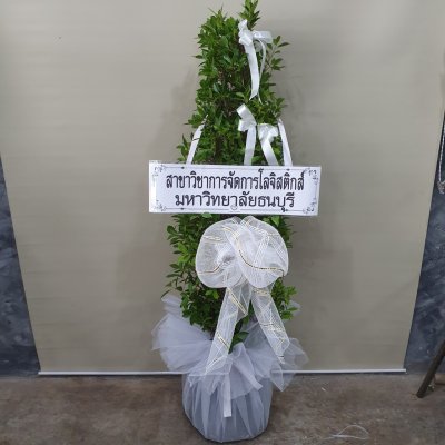 ประวัติการจัดส่งประจำเดือน เมษายน 2565