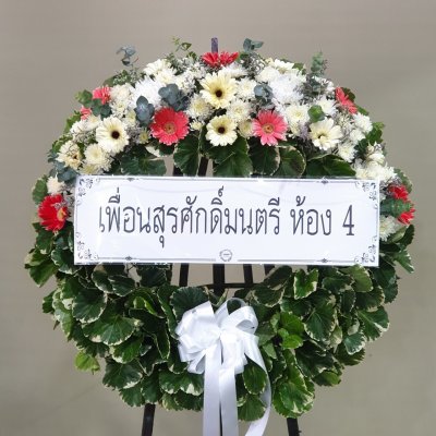 ประวัติการจัดส่ง ประจำเดือนมิถุนายน 2565