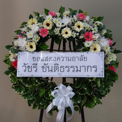 ประวัติการจัดส่ง ประจำเดือนกรกฎาคม 2565