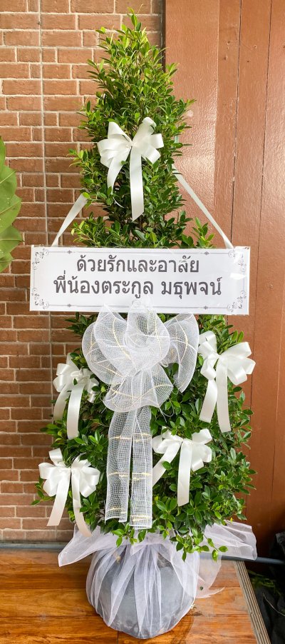 ประวัติการจัดส่งประจำเดือน ตุลาคม 2564