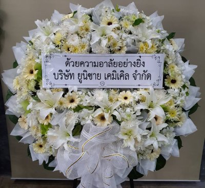 ประวัติการจัดส่งประจำเดือน พฤศจิกายน 2564