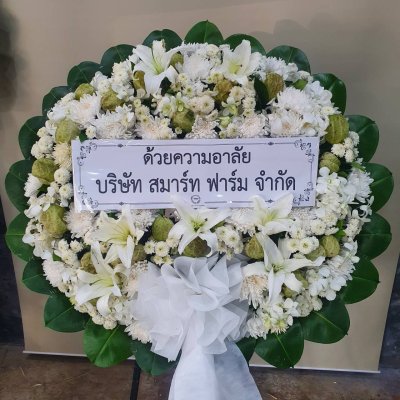 ประวัติการจัดส่งประจำเดือน พฤศจิกายน 2564