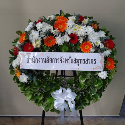 ประวัติการจัดส่งประจำเดือน กุมภาพันธ์ 2565