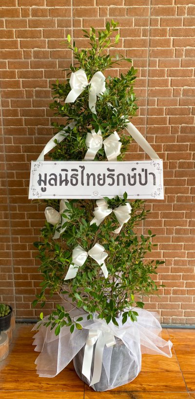 ประวัติการจัดส่งประจำเดือน กุมภาพันธ์ 2565