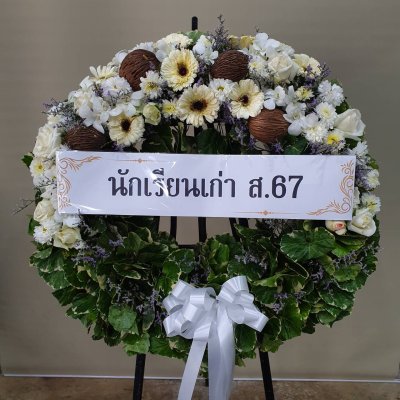 ประวัติการจัดส่งประจำเดือน พฤศจิกายน 2564