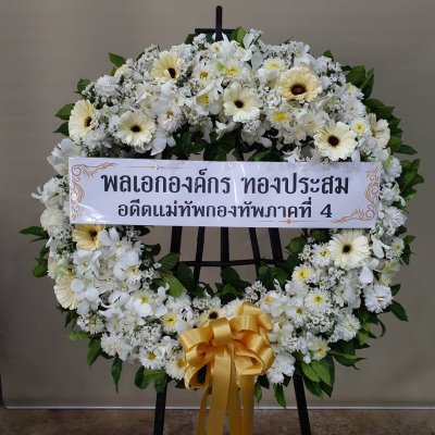 ประวัติการจัดส่งประจำเดือน พฤศจิกายน 2564