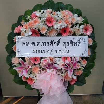 ประวัติการจัดส่งประจำเดือน ธันวาคม 2564