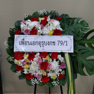 ประวัติการจัดส่งประจำเดือน ธันวาคม 2564