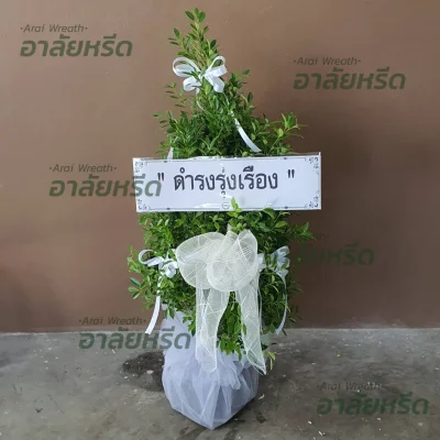 ประวัติการจัดส่งพวงหรีด เดือน พฤษภาคม 2567