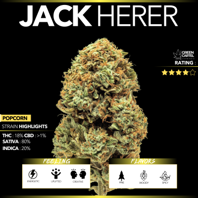 Jack Herer (Top Shelf)