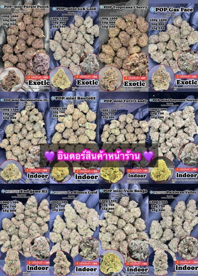 อินดอร์สาขาปากน้ำ