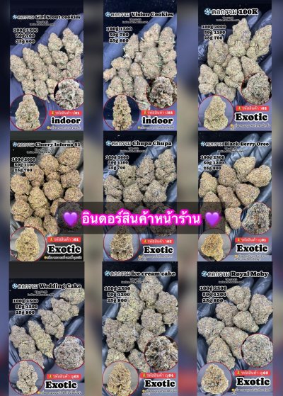 ภาษาไทย Indoor 2