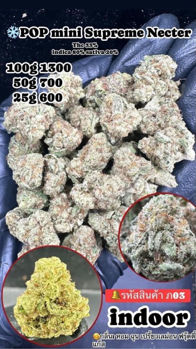 อินดอร์สาขาปากน้ำ