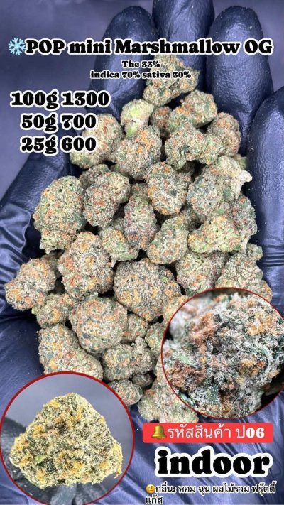 อินดอร์สาขาปากน้ำ