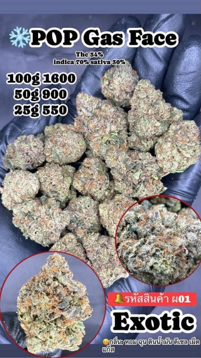 อินดอร์สาขาปากน้ำ