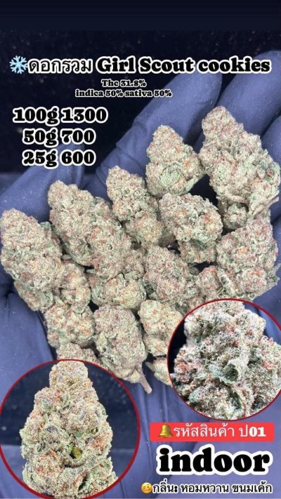 ภาษาไทย Indoor 2