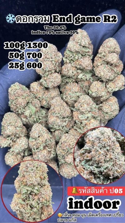 อินดอร์สาขาปากน้ำ