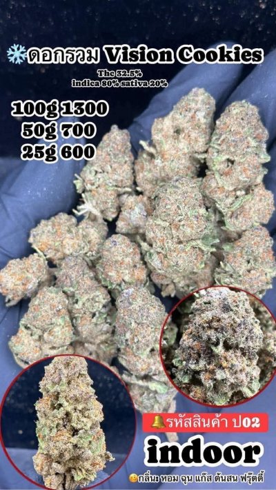 ภาษาไทย Indoor 2