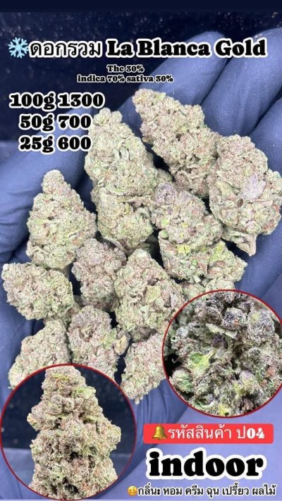 อินดอร์สาขาปากน้ำ