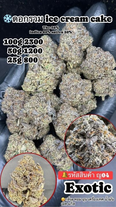 ภาษาไทย Indoor 2