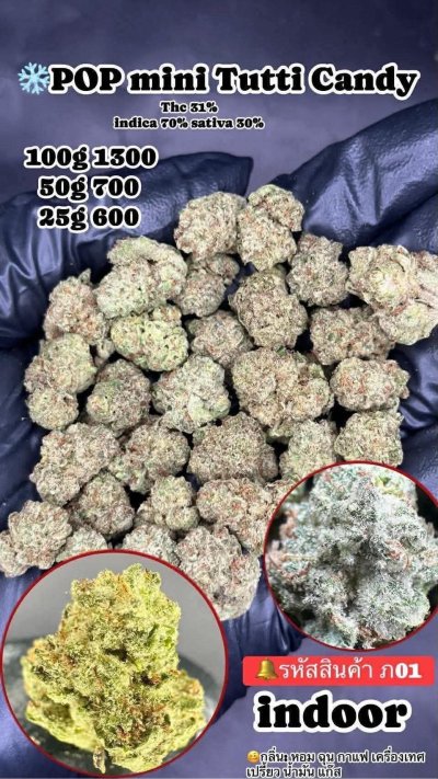 อินดอร์สาขาปากน้ำ