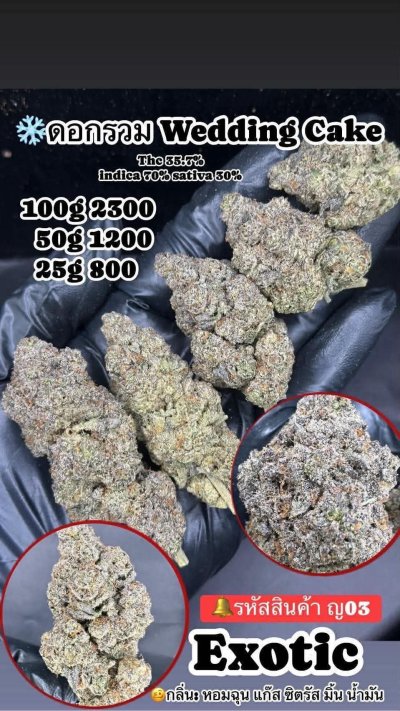 ภาษาไทย Indoor 2