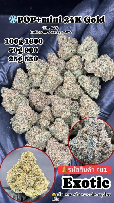 อินดอร์สาขาปากน้ำ