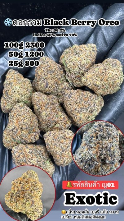 ภาษาไทย Indoor 2