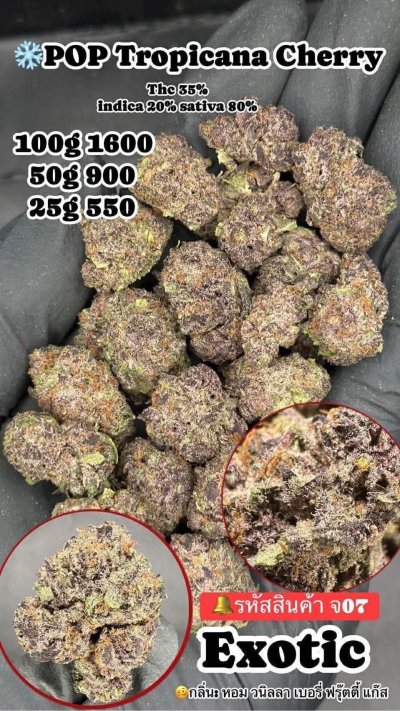 อินดอร์สาขาปากน้ำ