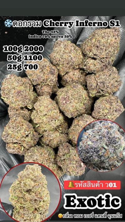 ภาษาไทย Indoor 2