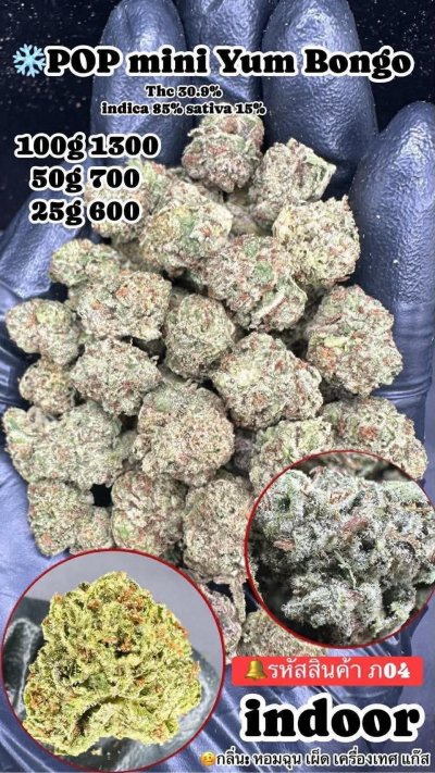 อินดอร์สาขาปากน้ำ