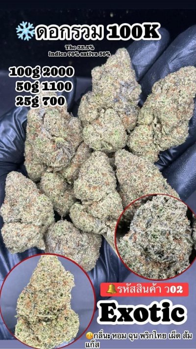 ภาษาไทย Indoor 2