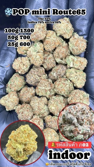 อินดอร์สาขาปากน้ำ