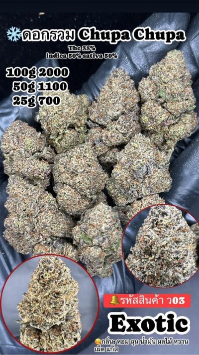 ภาษาไทย Indoor 2