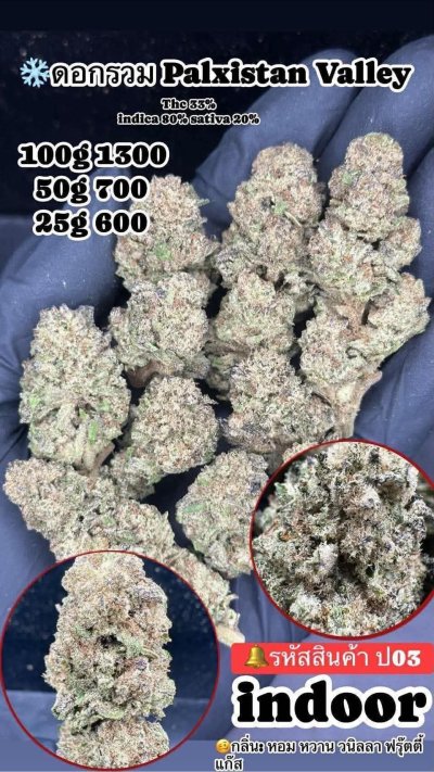 อินดอร์สาขาปากน้ำ