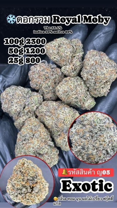 ภาษาไทย Indoor 2