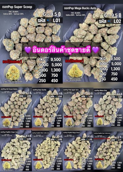 อินดอร์ขายดีชุด L