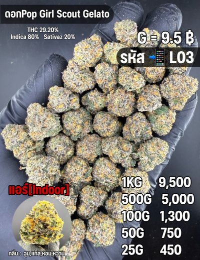 อินดอร์ขายดีชุด L