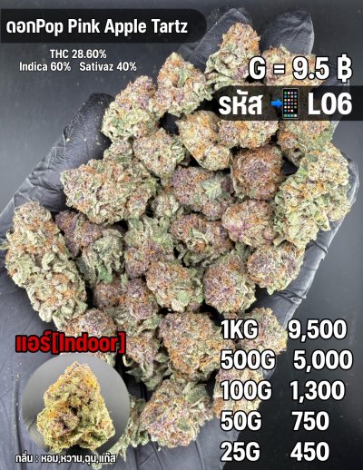 อินดอร์ขายดีชุด L