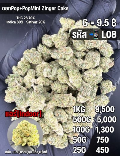 อินดอร์ขายดีชุด L