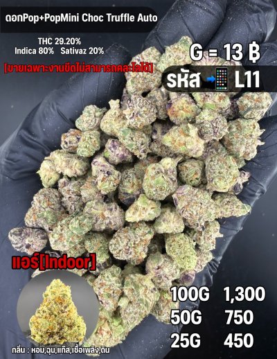 อินดอร์ขายดีชุด L