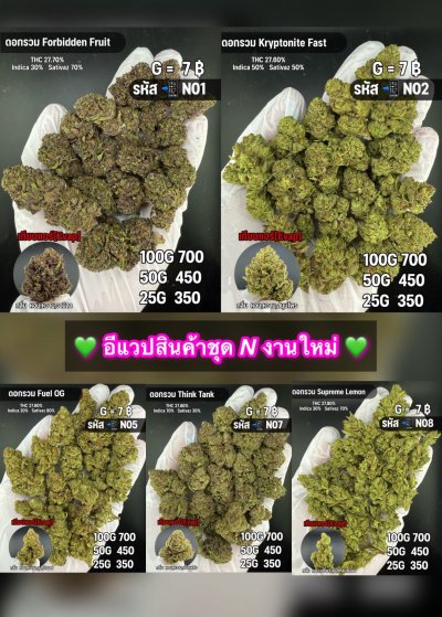 อีแวปสินค้าชุด N