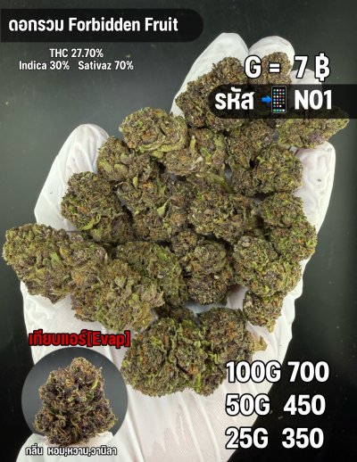 อีแวปสินค้าชุด N