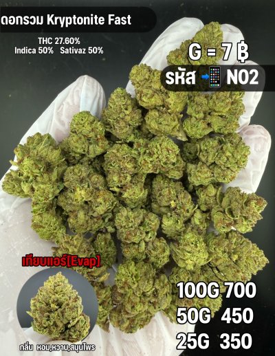 อีแวปสินค้าชุด N