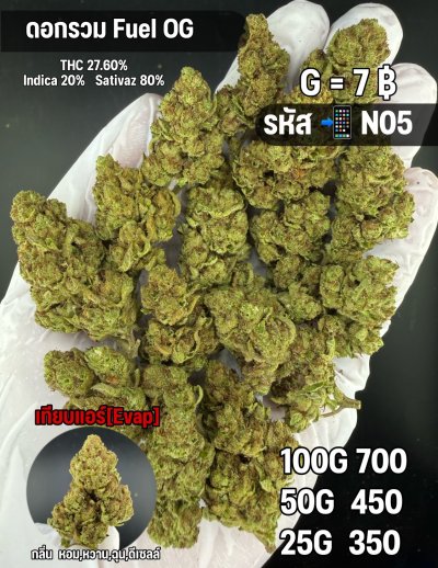 อีแวปสินค้าชุด N