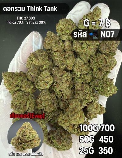 อีแวปสินค้าชุด N