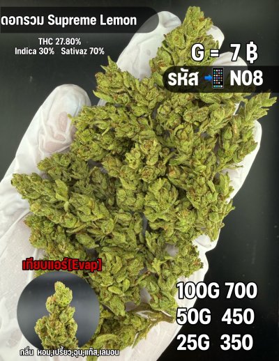 อีแวปสินค้าชุด N