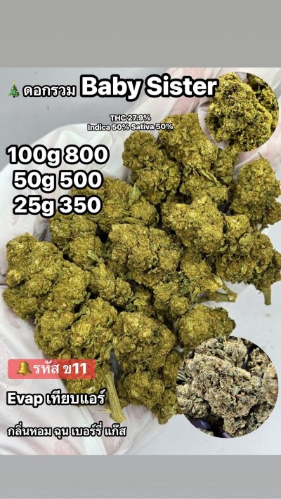 อีแวปสินค้าปากน้ำ ตัวใหม่