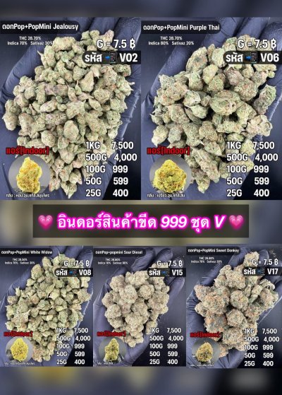 อินดอร์ขีดราคาถูกสุด 999